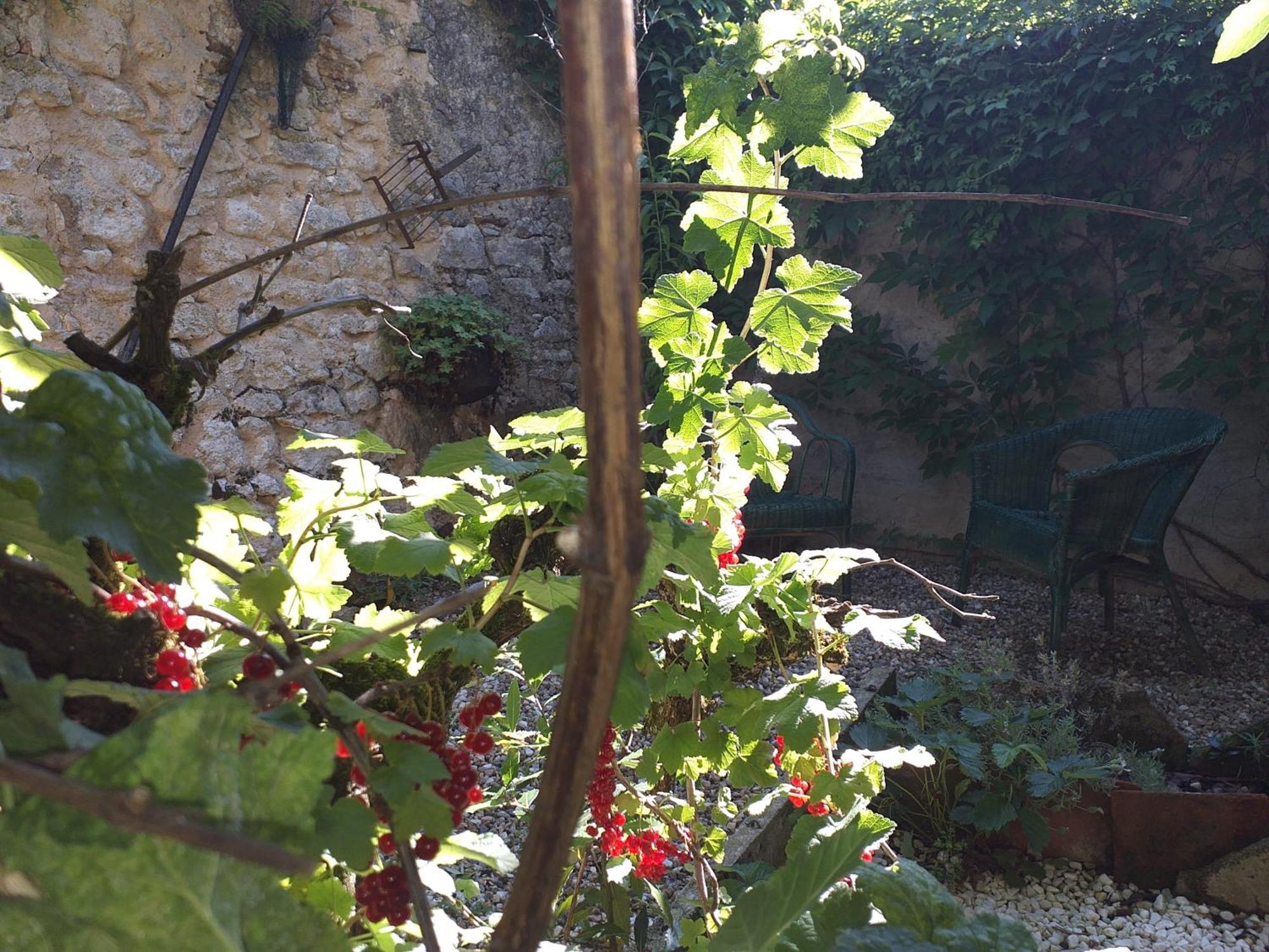 Maison Berrichonne 2 Chambres Cour Et Jardin Saint-Marcel  Exterior photo